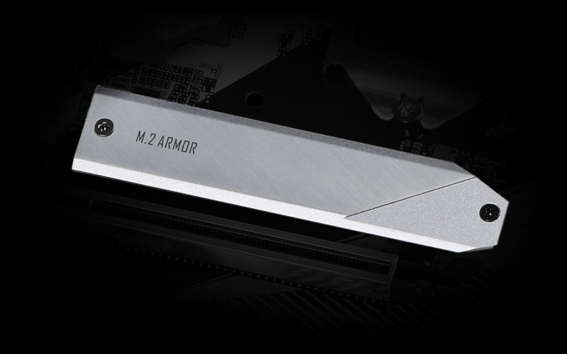 Full Coverage M.2 + Ultra M.2 x2